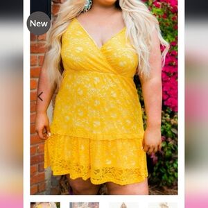 ⚘️NWOT Southern Fried Chics Flirty Little Thing Lace Dress 3x
